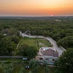 Rosemary Zadarvillas Dračevac Ninski