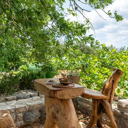 Villa Rosemary Zadarvillas *