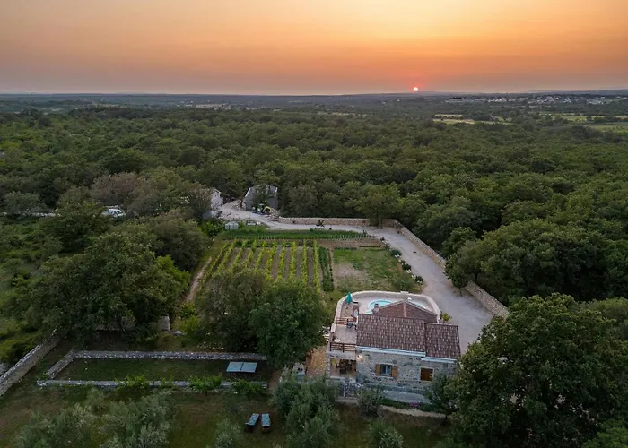 Rosemary Zadarvillas Dracevac Ninski