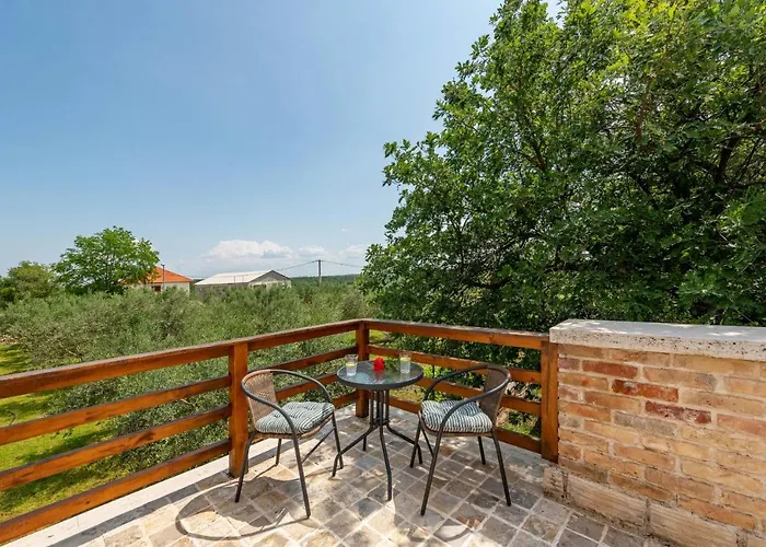 Rosemary Zadarvillas * Dracevac Ninski