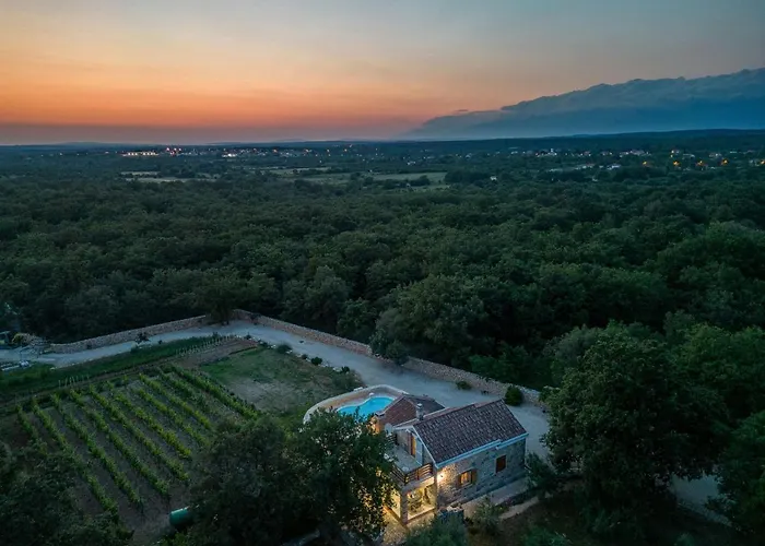 Rosemary Zadarvillas * Dracevac Ninski